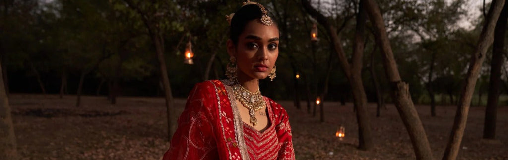 From Punjab's Heart to Your Wardrobe: Styling the Phulkari Lehenga
